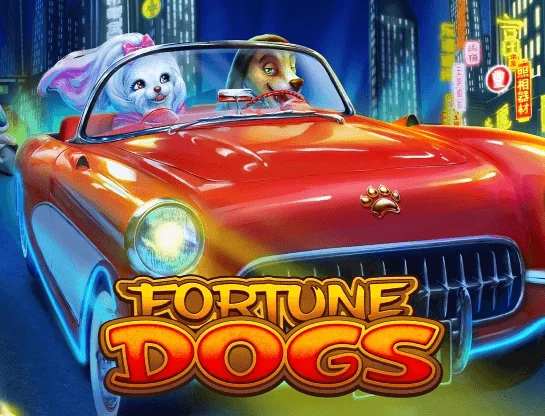 Fortune Dogs